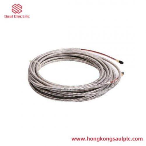 ENTEK C6660 Radial Vibration Monitoring Module