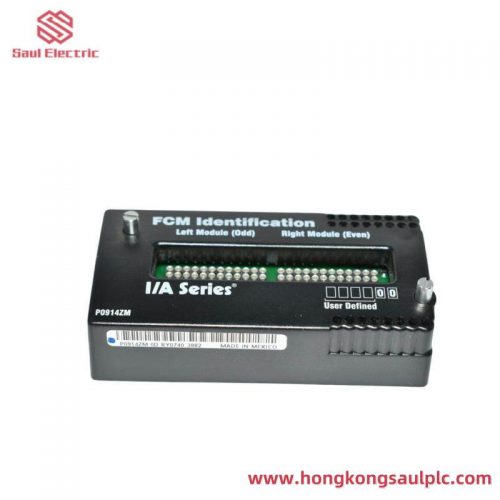 Foxboro I/A Series PLC P0916DB, Advanced Control Module