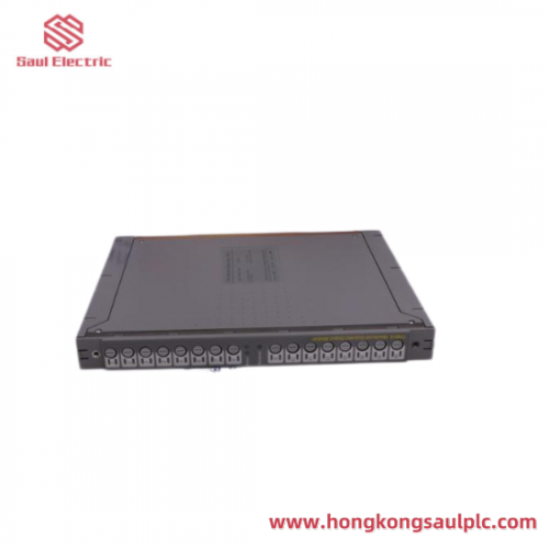 ICS TRIPLEX 9802*1/9852*2 Industrial Control Module
