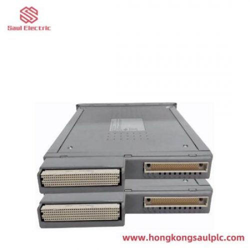 ICS TRIPLEX T8191 Single Slot PLC Module for Industrial Automation