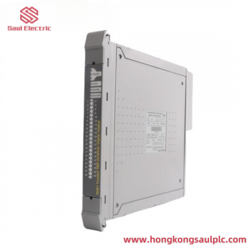 ICS TRIPLEX T8461C Digital Output Module, Industrial Control Systems