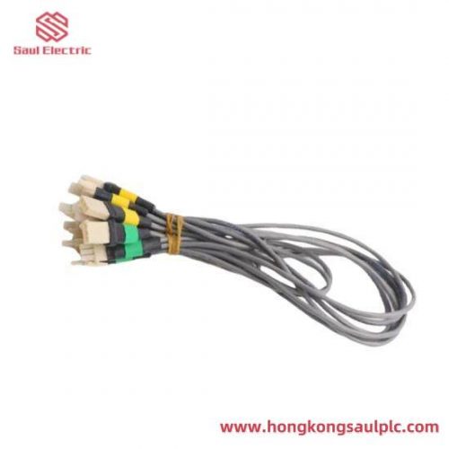 SHINBORY DENSHI HD-522 - Industrial Automation Control Module