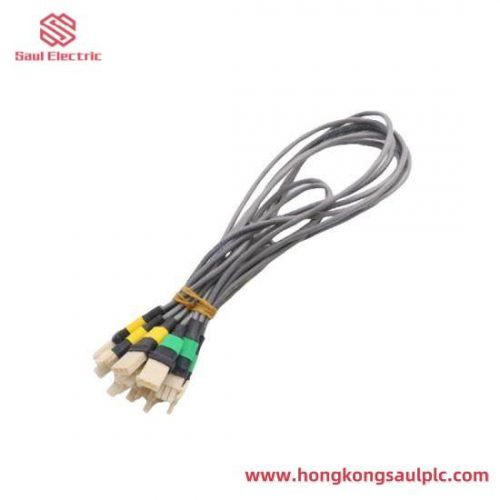 SHINBORY DENSHI HD-522 - Industrial Automation Control Module
