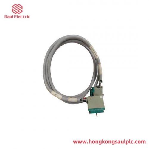 TRICONEX 4000093-310 Extended Input Terminal Cable Assembly