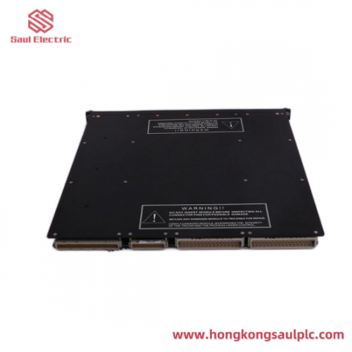 TRICONEX 4000093-310 Extended Input Terminal Cable Assembly