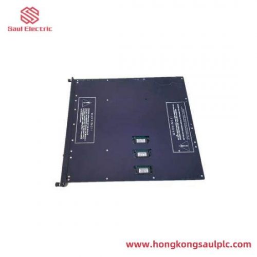 TRICONEX 4000093-310 Extended Input Terminal Cable Assembly