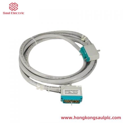 Triconex 4000094-310 Extended Product Type: PLC