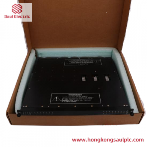 TRICONEX MP6004 Input/Output Module