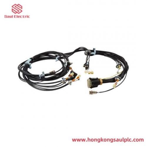 RORZE RD-021M8: Industrial Automation Control Module