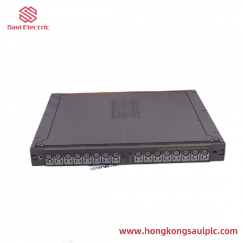 MELTAL MT1102-02-00: Industrial Control Module, MS3101-00-00 & MS3102-01-00 for Advanced Automation