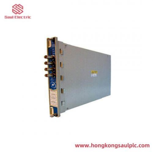 Bently Nevada 330704-000-060-10-02-00: Industrial Control System Module