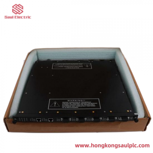 TRICONEX 8306E Industrial Control Modules, Precision Engineering for Critical Systems