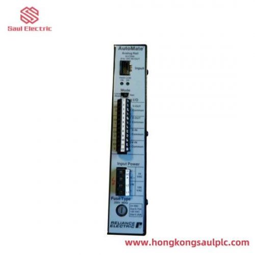 RELIANCE ELECTRIC 61C350 Analog Rail Module for AutoMax DCS