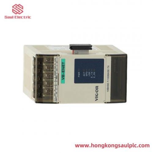 Vigor VB-4PT Temperature Module