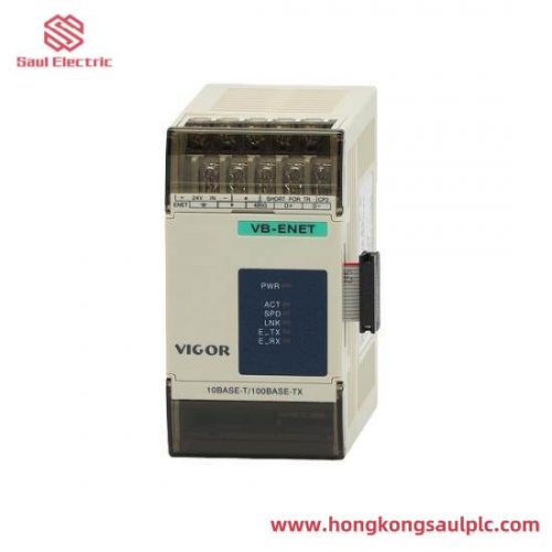 Vigor VB-4PT Temperature Module